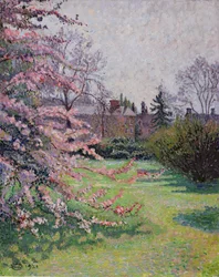 Fioritura di melo giapponese, Kew, 1921